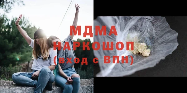 прущие грибы Бородино