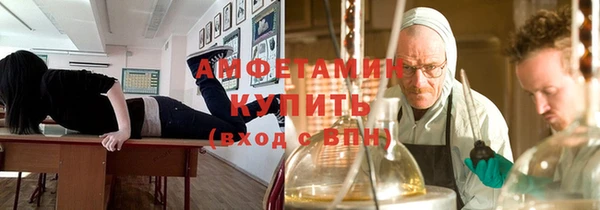 прущие грибы Бородино