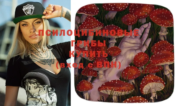 винт Бронницы