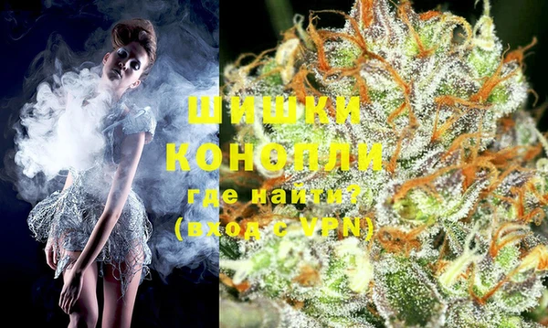 прущие грибы Бородино