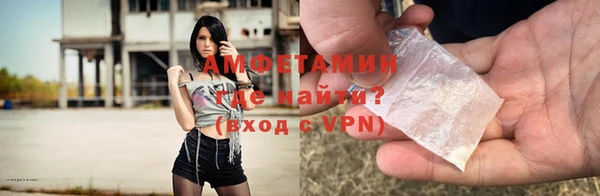 прущие грибы Бородино