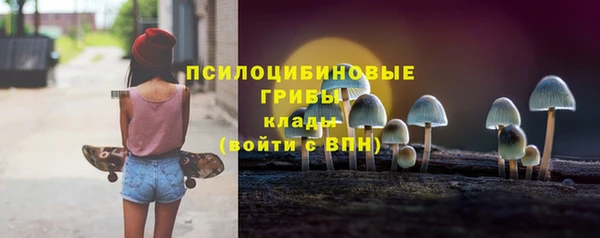 прущие грибы Бородино