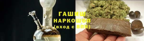 прущие грибы Бородино