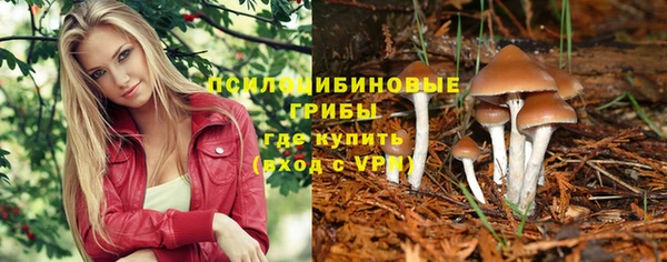 прущие грибы Бородино