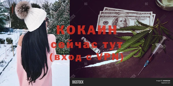 прущие грибы Бородино