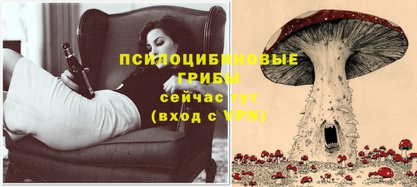 винт Бронницы