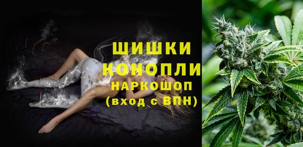 винт Бронницы