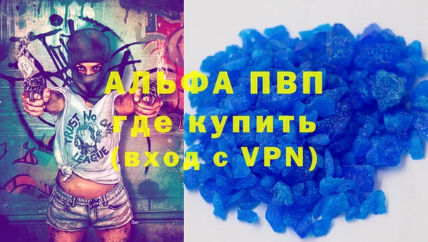прущие грибы Бородино